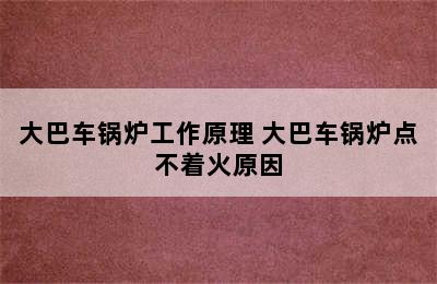 大巴车锅炉工作原理 大巴车锅炉点不着火原因